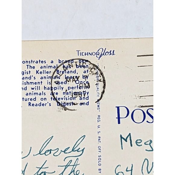 Advertising Postcard Hot Springs Arkansas AR‎ Zoo The Drumming Duck 1960s Paper - Picture 7 of 7